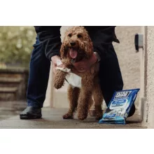 Ultragrime Pet Care nedves törlőkendő 38x25cm 40db/cs (házikedvenc)