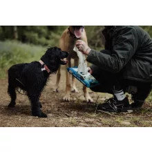 Ultragrime Pet Care nedves törlőkendő 38x25cm 40db/cs (házikedvenc)