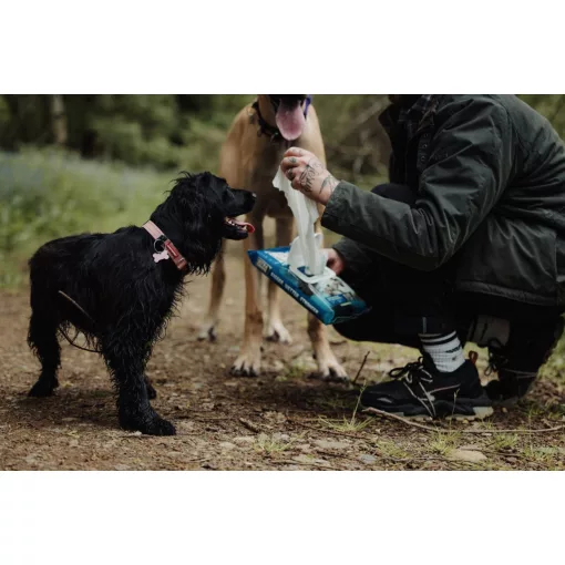 Ultragrime Pet Care nedves törlőkendő 38x25cm 40db/cs (házikedvenc)