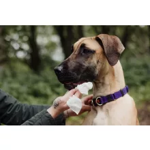 Ultragrime Pet Care nedves törlőkendő 38x25cm 40db/cs (házikedvenc)