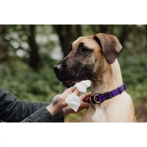 Ultragrime Pet Care nedves törlőkendő 38x25cm 40db/cs (házikedvenc)